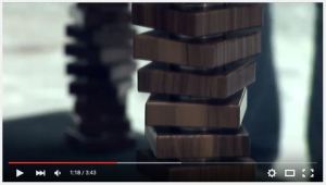 video-car-lesa-2011-slika