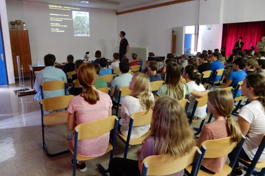 Čar lesa 2019 Levstikov dom v Velikih Laščah