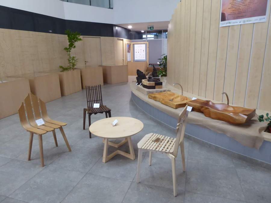 Čar lesa 2019 Krpanov dom v Pivki