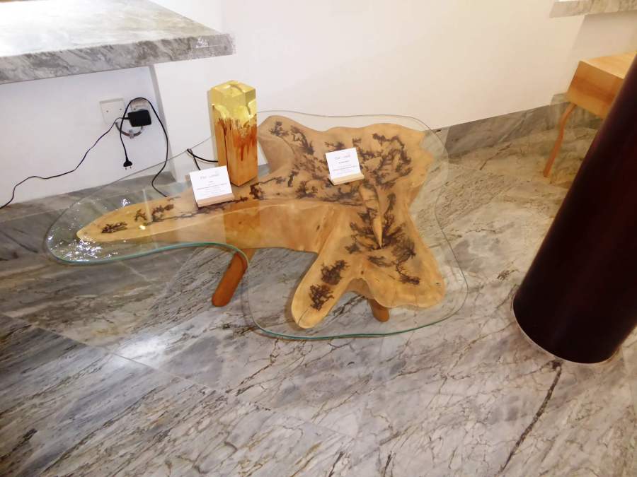 Čar lesa 2019: Arboretum, Volčji Potok