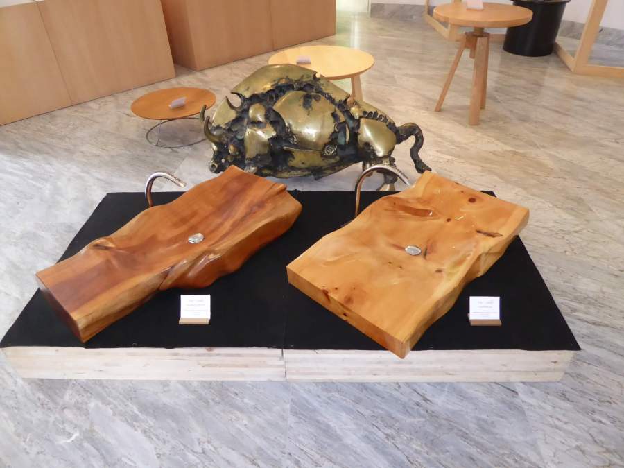 Čar lesa 2019: Arboretum, Volčji Potok