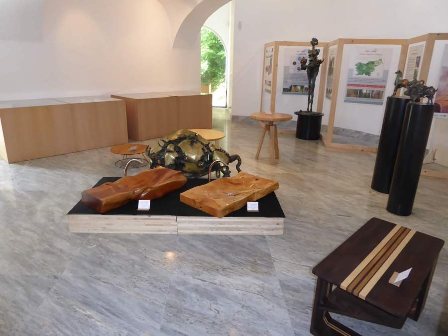 Čar lesa 2019: Arboretum, Volčji Potok