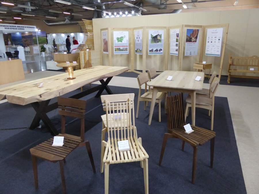 Čar lesa 2019: MOS Celje