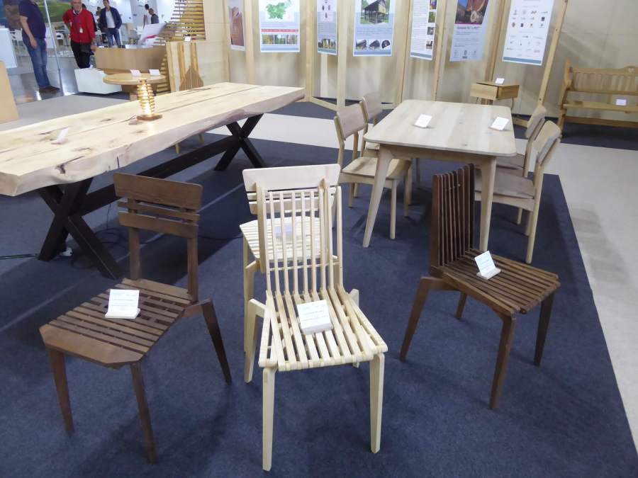 Čar lesa 2019: MOS Celje