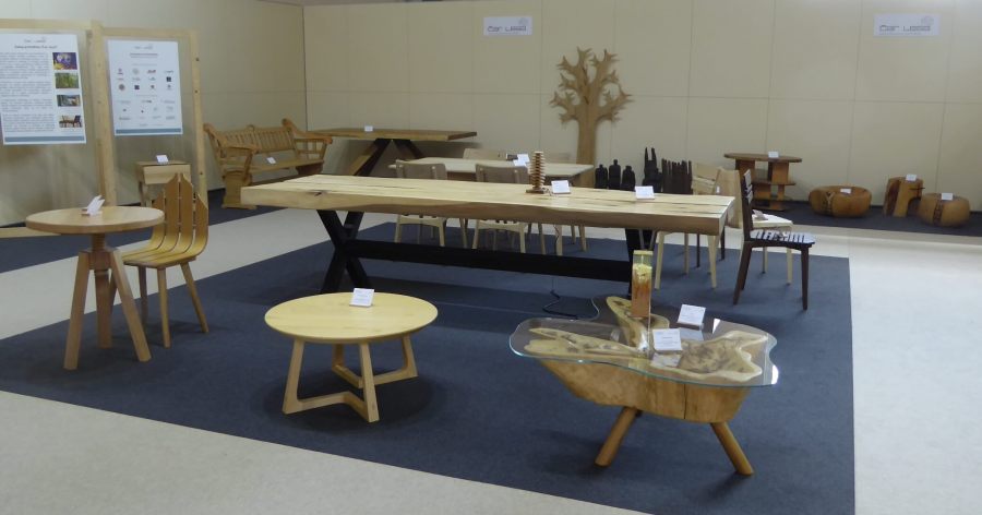 Čar lesa 2019: MOS Celje