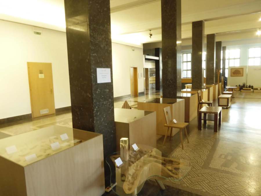 Čar lesa 2019 Mestna občina Nova Gorica