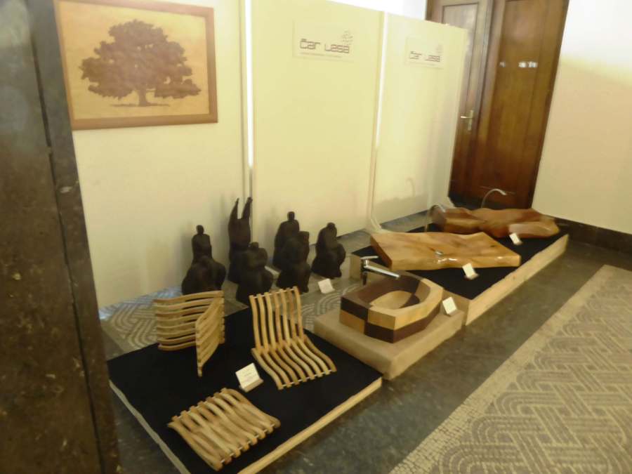 Čar lesa 2019 Mestna občina Nova Gorica