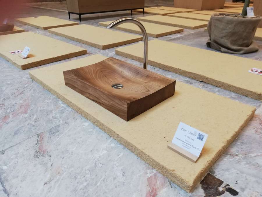 Čar lesa, Cankarjev dom 2020